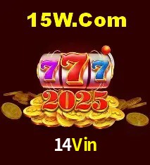 Login Seguro 14Vin