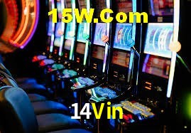 Platform Technology 14Vin