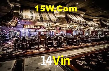 Provedores de Jogos 14Vin