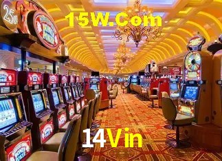 14Vin