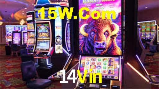 VIP Casino 14Vin