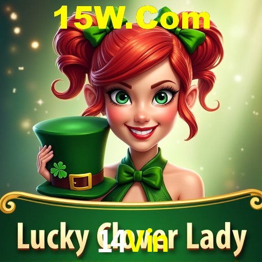 Interface Premium 14Vin