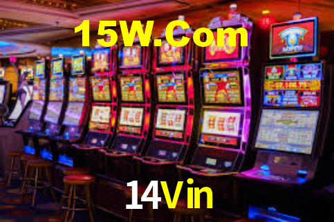 Premium Interface 14Vin