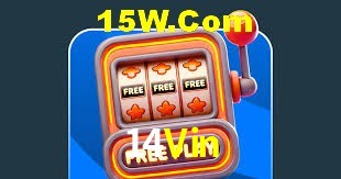 API Integration 14Vin