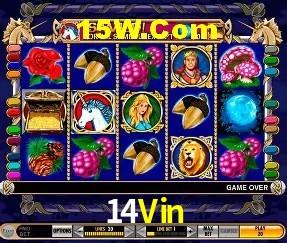 Sistemas de Segurança 14Vin